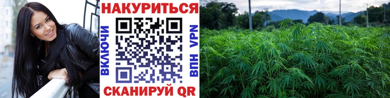 Как найти наркотики Кондопога Бошки Шишки  A-PVP  МЕГА как войти  КОКАИН  Псилоцибиновые грибы  Меф мяу мяу  АМФ 
