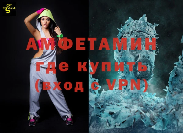 дживик Гатчина