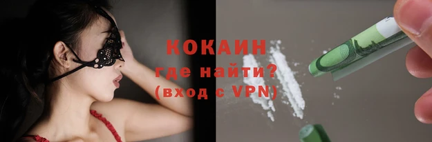 спиды Пересвет