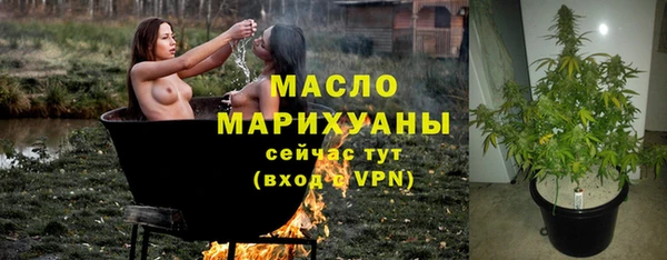 спиды Пересвет