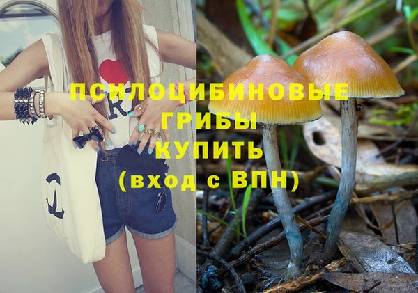 экстази Галич
