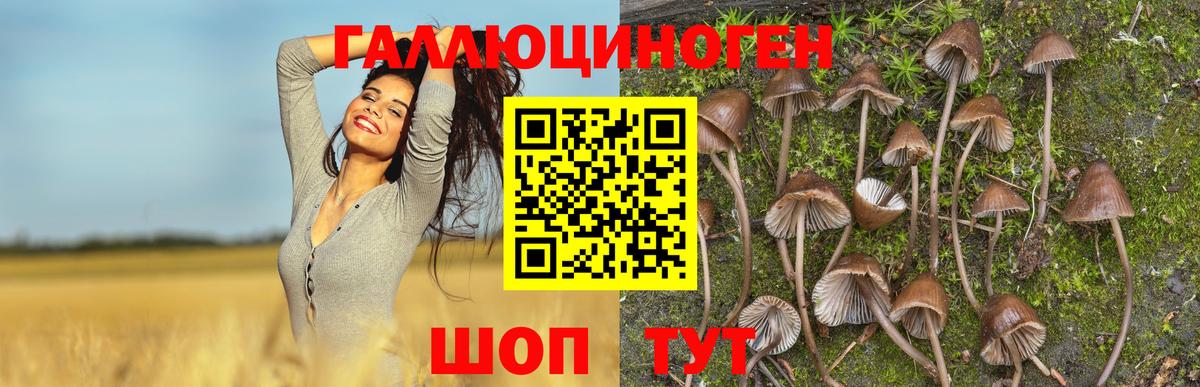 Галлюциногенные грибы мухоморы Кондопога